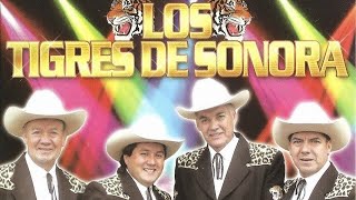 Los Tigres de sonora mix la canoa 🛶 le cortaron la cosa el santo cachón y amor garantizado [upl. by Boggs]