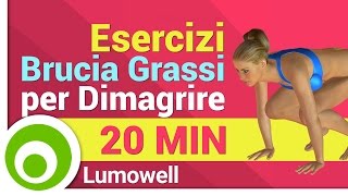 Esercizi Brucia Grassi per Dimagrire  Aerobica a Casa [upl. by Eniala]