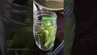 Canning fresh pickles organicgardening pickles homesteadkitchen [upl. by Bixby]