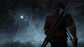 Eskel vs Caranthir The Witcher 3 PS5 [upl. by Ahsiak]