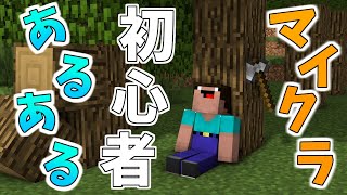 マインクラフト 初心者あるある【マイクラあるある】【Minecraft】 [upl. by Suchta]