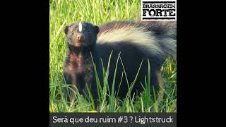 Será que deu ruim 3  Lightstruck [upl. by Etteniuqna]