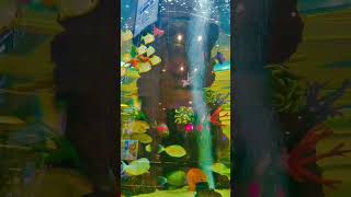 Marine Fish 🐠 aquarium aquariuminfo marinefish saltwaterfishtank viral shorts viral [upl. by Atilam]