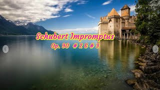 Schubert Impromptus Op 90 2 amp 3 [upl. by Edan]