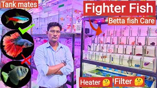 Fighter fish  Betta fish care Tankmates Tank size Heater Filter  Pari Aquarium Kurla market [upl. by Shanly]