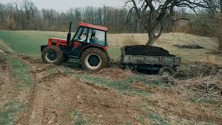 Zetor 6245 u blatu Izvlačenje đubreta [upl. by Angelica]