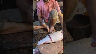 Delicious Giant Koral Fish Cutting By Expert Fish Cutter  Part1 shorts fishcuttingskills fish [upl. by Nayr]