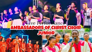 Ambassadors of Christ Choir Junior  Indirimbo nziza cyane Live concert 2024 [upl. by September207]