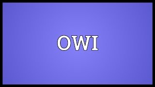 OWI Meaning [upl. by Dallas688]