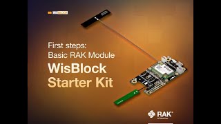 How to flash or update Meshtastic Rak Wiseblock 4631 on Windows step by step [upl. by Ottillia]