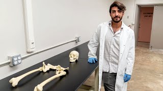 Armando Anzellinis bone research looks at past to learn about present [upl. by Valery]