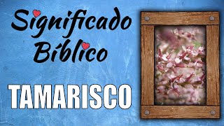 Tamarisco Significado Bíblico  ¿Qué Significa Tamarisco en la Biblia 🙏 [upl. by Allehcim916]