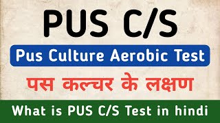 Pus CS Test in hindi  Pus Culture Test in hindi  Symptoms of PUS CS  Pus Culture Aerobic Test [upl. by Dnalkrik]