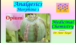 Narcotic Analgesics part 1 Morphine  Medicinal Chemistry  E  PDF 👇 [upl. by Sallyanne]