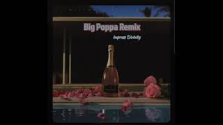 Big Poppa Remix [upl. by Wershba692]