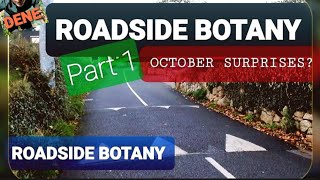 ROADSIDE BOTANY Part 1  October Surprises [upl. by Elocn]