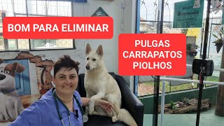 ELIMINAR CARRAPATOS PULGAS E PIOLHOS [upl. by Atirres945]