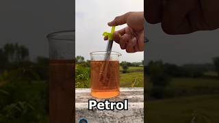 Gas Lighter Vs Petrol Who Is Powerful shorts experiment [upl. by Greeley]