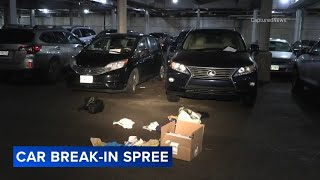 At least 12 cars damaged ransacked in South Loop Chicago police say [upl. by Milzie]