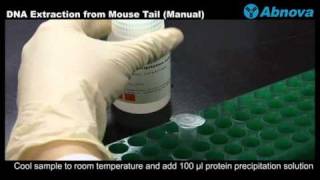 DNA Extraction from Mouse Tail Manual [upl. by Nawad]