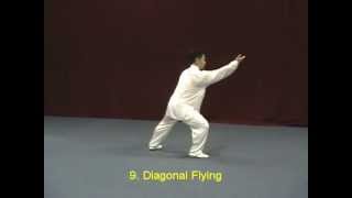 Tai Chi Yang Style 40 demonstration [upl. by Itnahsa]