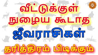 நம் வீட்டுக்குள் வரக்கூடாத உயிரினங்கள் வந்தால் என்ன ஆகும்  veetukul nulaiya koodatha pranikal [upl. by Neb779]