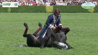 Atkinson Action Horse  Great Yorkshire Show [upl. by Margeaux]