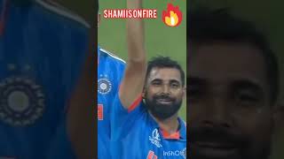 Md shamiforyou cricket shorts wc semi final [upl. by Oletha374]