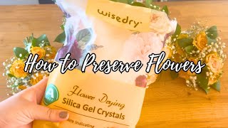 How to Dry Flower Using WiseDry Silica Crystals [upl. by Kimberli]