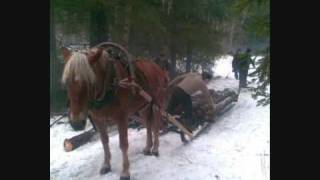 Täällä Pohjantähden alla  Jorma Hynninen [upl. by Michaela]