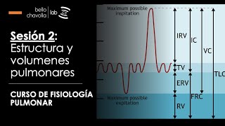 Estructura y volúmenes pulmonares [upl. by Jecho944]