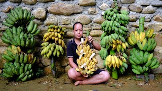 Living OffGrid  till the soil Grow vegetables and Harvesting A Lot Of Banana Goes To Market Sell [upl. by Desirae]