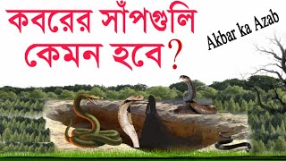 পাপীর জন্য কবরে সাঁপগুলি কেমন হবে   Kaborer Ajab  কবরের আযাব  জাহান্নমের আজাব  Islamic Video [upl. by Jere61]