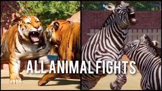 Planet Zoo Update 116 ALL ANIMAL FIGHTS [upl. by Primaveria129]