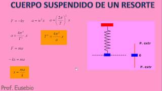 Movimiento Armónico Simple  Sistema cuerpo resorte [upl. by Derej]