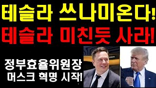 테슬라 쓰나미가 온다 미친듯이 테슬라 사라 머스크 정부효율위원장 공식임명 트럼프는 머스크에게 4가지를 요청했다 머스크발 혁신이 온다 테슬라에겐 엄청난 기회가 오고 있다 [upl. by Nor872]