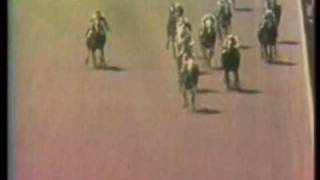 SECRETARIAT  1972 Aqueduct Allowance 1st win [upl. by Teddy]