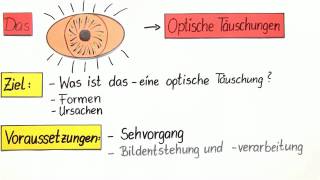 Was passiert im Körper bei optischen Täuschungen 😵🔎  Wissen4free [upl. by Esenej]