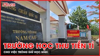 Thu tiền tỉ mỗi năm cho việc trông giữ học sinh một trường tiểu học bị đề nghị điều tra  PLO [upl. by Aronal]