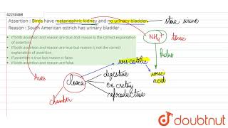 Assertion  Birds have metanephric kidney and no urinary bladder [upl. by Aniteb583]