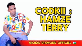 HAMZE TERRY  HESSTII DAWOOY DAWO CAFIMAADEEY  MUSIC OFFICIAL 2024 WaqalStudio [upl. by Einniw]