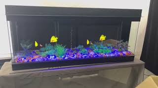 LCD  Fish Tank Effect [upl. by Einad]