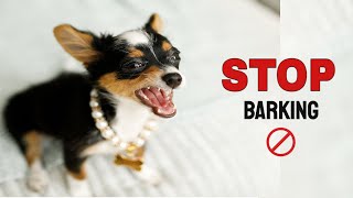 Stop Puppy Barking sound to stop puppy barking at strangers and other dogs [upl. by Notffilc]