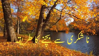 How to avoid ingratitude  na shukri se  bchnay ka triqa  viralvideo [upl. by Retswerb74]