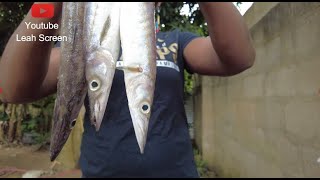 cooking the most appetizing food with this obtuse barracuda fish [upl. by Casaleggio638]