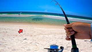 This Surf Fishing HOT SPOT was STACKED with Fish Unexpected Catch [upl. by Nerrag]