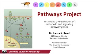 Pathways Project Overview [upl. by Dronel]