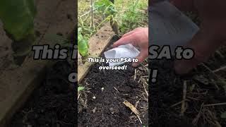 Struggling to get your seeds to germinate ￼gardeningtips [upl. by Havener]