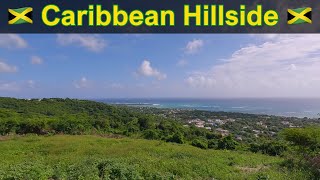 Caribbean Hillside Luxury in Retreat St Thomas Jamaica [upl. by Attenauq]