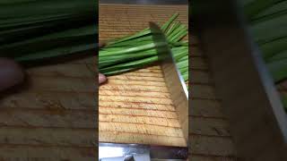 💫🥬Cutting Garlic Chives Nira in Japanese perennialcoolseasonvegetable shorts [upl. by Gasper]